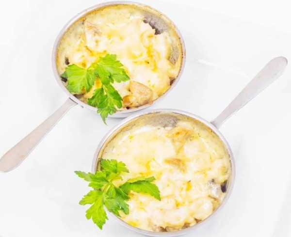 Жульен грибной